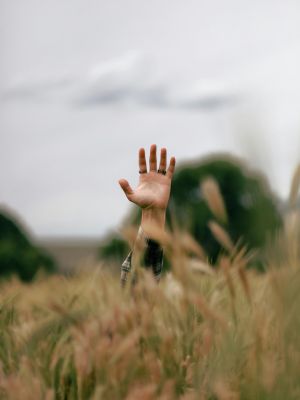 Hand rising above tall grass in an open field under a cloudy sky, symbolizing growth and self-discovery.