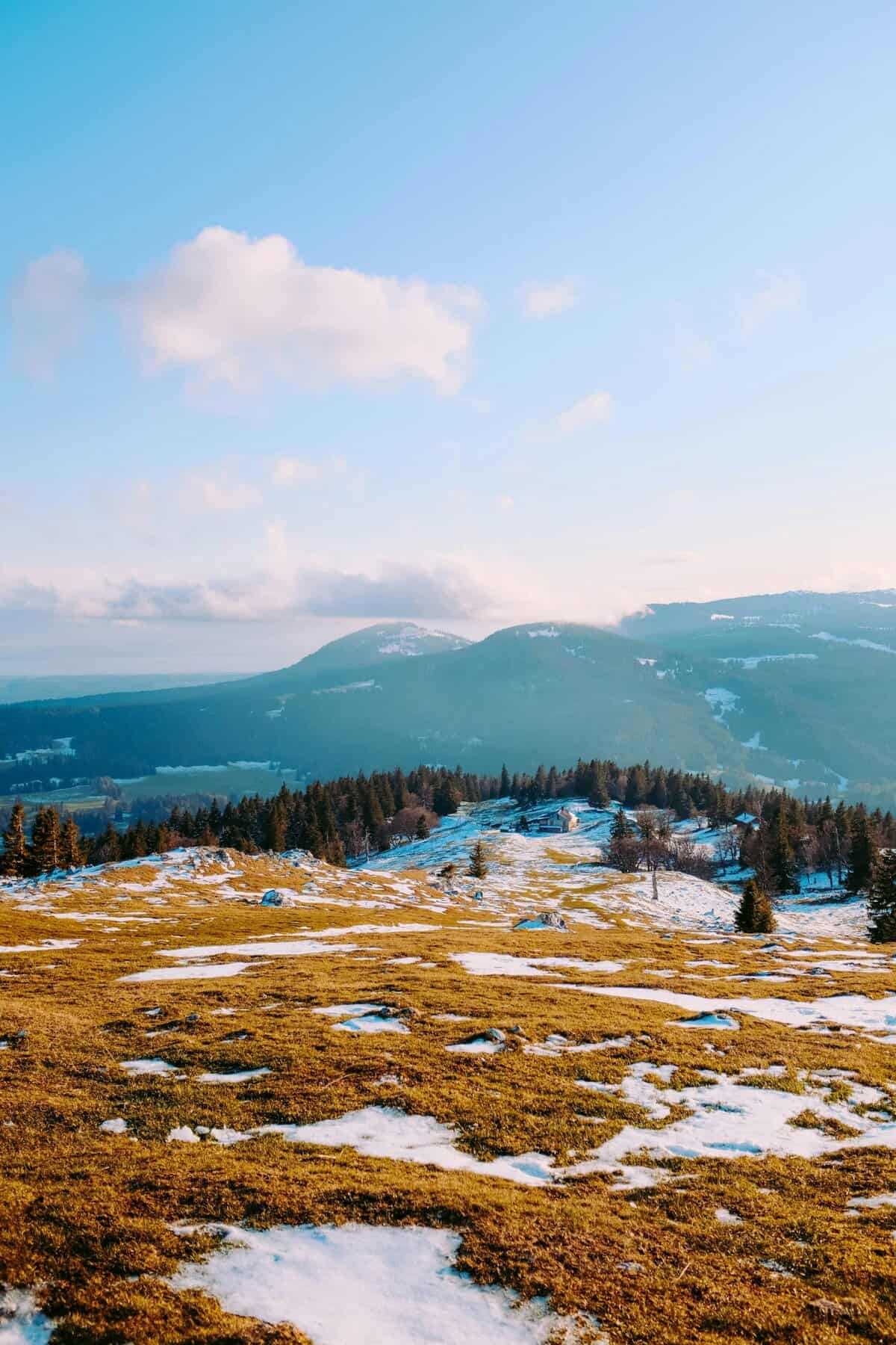 Wide mountain landscape with grassy hillside, patches of snow, trees, and distant hills under a blue sky